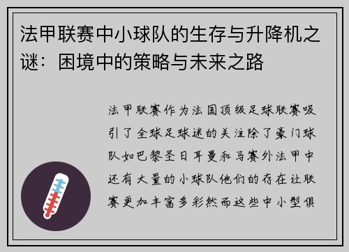 法甲联赛中小球队的生存与升降机之谜：困境中的策略与未来之路